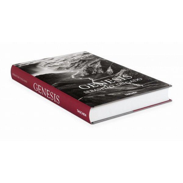Salgado Sebastiao, Genesis