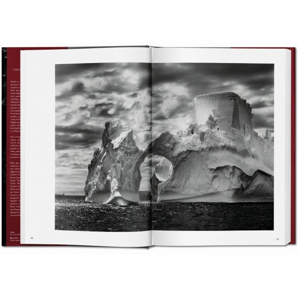 Salgado Sebastiao, Genesis