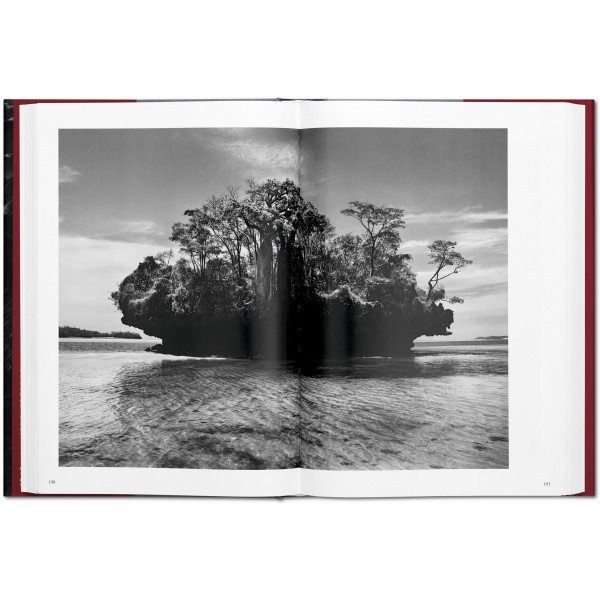 Salgado Sebastiao, Genesis