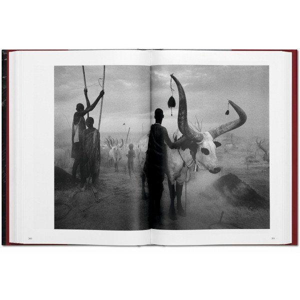 Salgado Sebastiao, Genesis