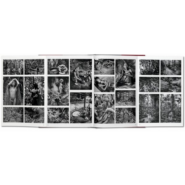 Salgado Sebastiao, Genesis