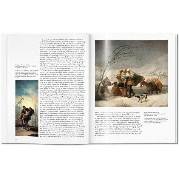 Goya (Basic Art)