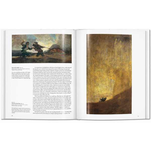 Goya (Basic Art)