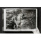 Helmut Newton. Legacy Helmut Newton. Legacy