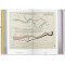 History of Information Graphics (XL)