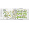 Information Graphics
