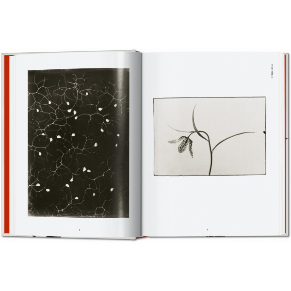 Karl Blossfeldt. The Complete Published Work. 40th Ed.