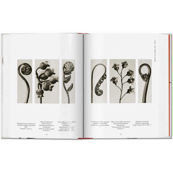 Karl Blossfeldt. The Complete Published Work. 40th Ed.