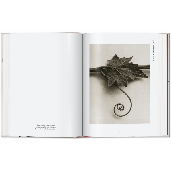 Karl Blossfeldt. The Complete Published Work. 40th Ed.