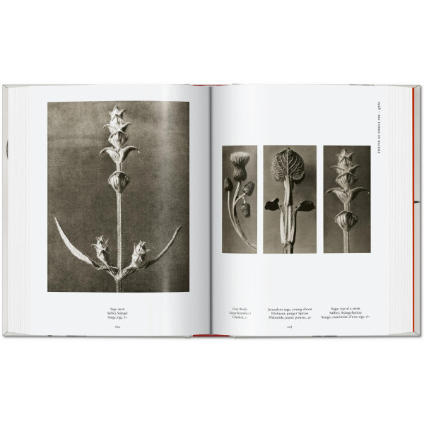 Karl Blossfeldt. The Complete Published Work. 40th Ed.