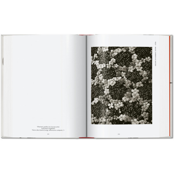 Karl Blossfeldt. The Complete Published Work. 40th Ed.