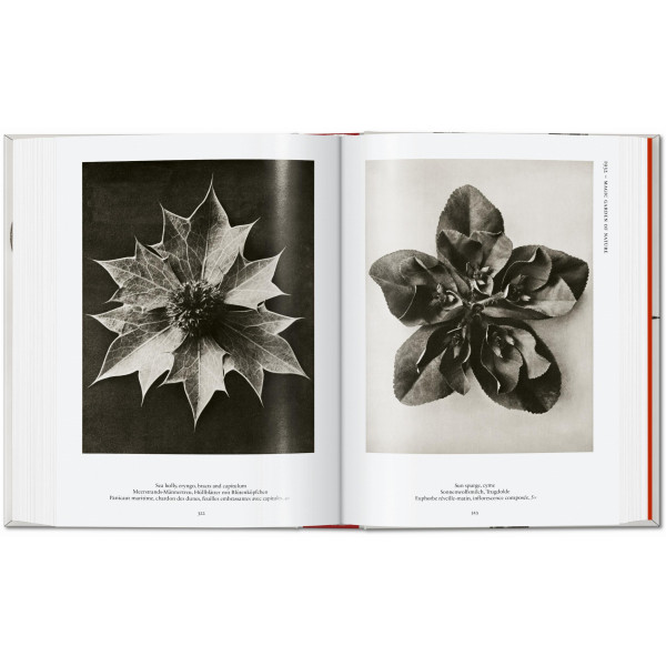 Karl Blossfeldt. The Complete Published Work. 40th Ed.
