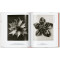 Karl Blossfeldt. The Complete Published Work. 40th Ed.