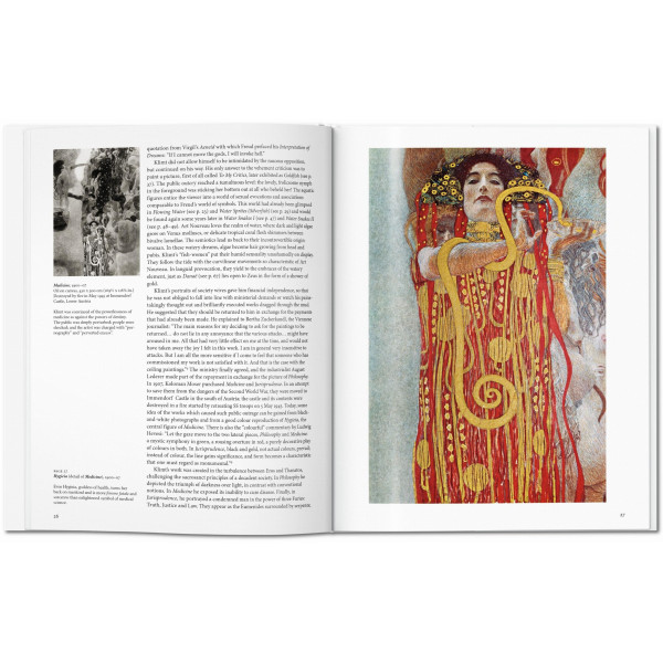 Klimt (Basic Art)