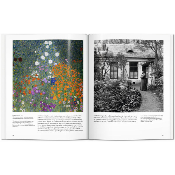 Klimt (Basic Art)