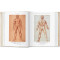 Leonardo.  The Complete Drawings