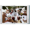 Mario Testino. Sir - 40th Anniversary Edition Mario Testino. Sir - 40th Anniversary Edition