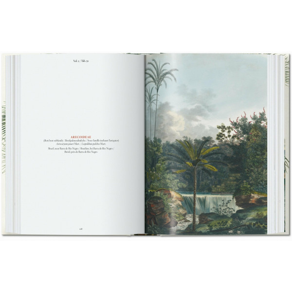 Martius. The Book of Palms. 40th Ed.