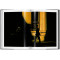 Marvin E. Newman. Photographs 1949–1983