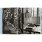 Matisse. Cut-outs. 40th Ed.