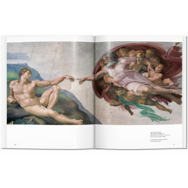 Michelangelo (Basic Art)