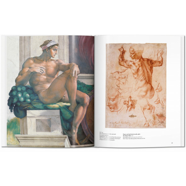 Michelangelo (Basic Art)