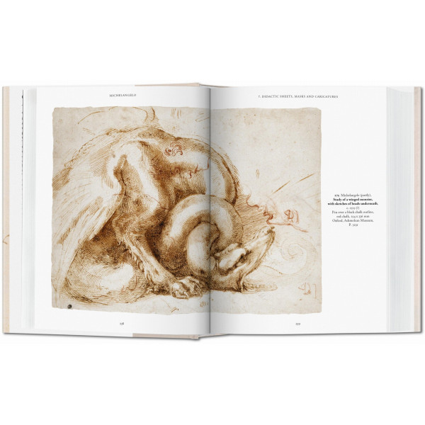 Michelangelo. The Graphic Work Michelangelo. The Graphic Work
