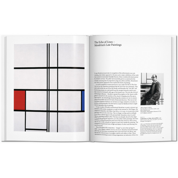 Mondrian (Basic Art)