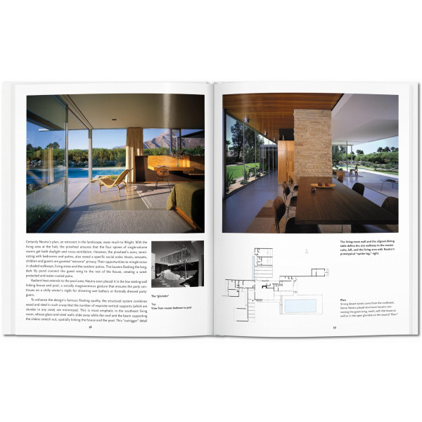 Neutra (Basic Art)