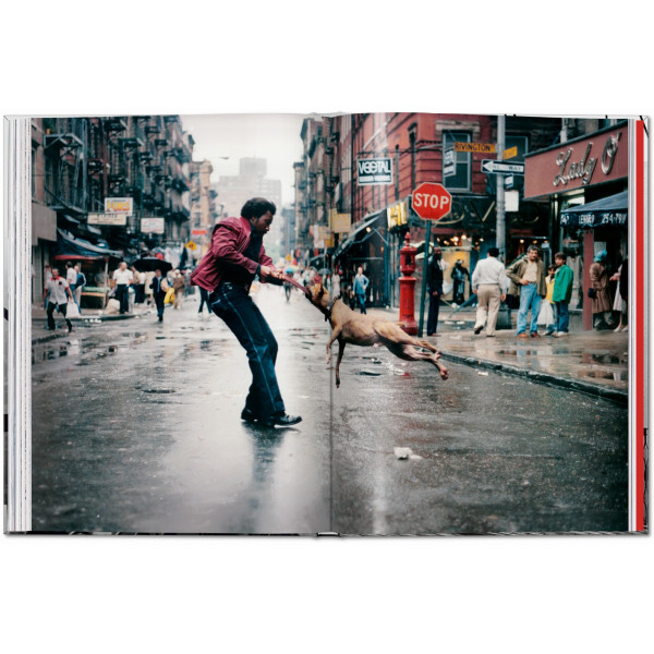 New York. Portrait of a City