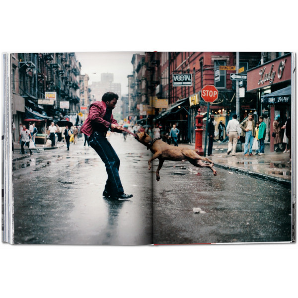 New York. Portrait of a City New York. Portrait of a City