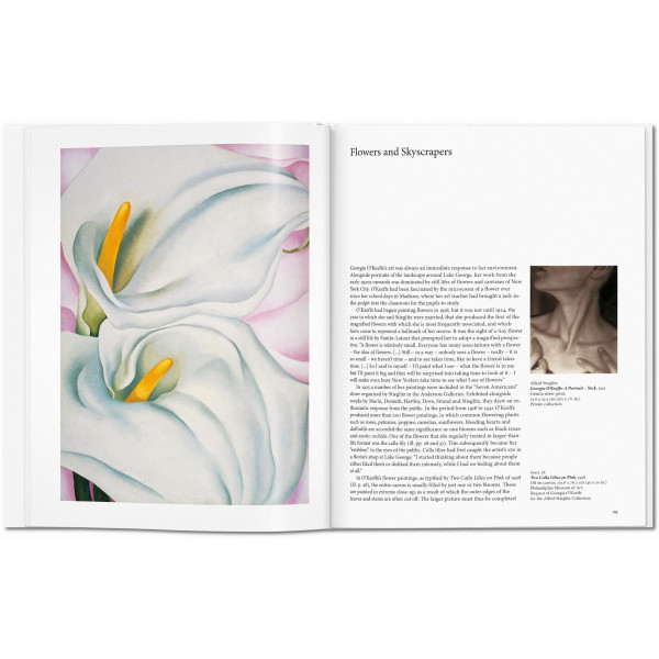 O'Keeffe (Basic Art)
