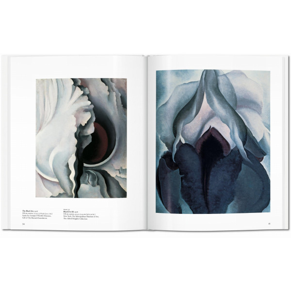 O'Keeffe (Basic Art)