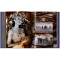 Peter Beard Peter Beard