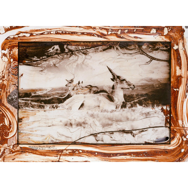 Peter Beard Peter Beard