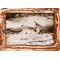 Peter Beard Peter Beard