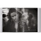 Peter Lindbergh. Dior. 40th Ed.