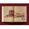 Rembrandt: Complete Drawings & Etchings
