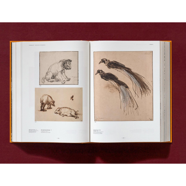 Rembrandt: Complete Drawings & Etchings