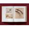 Rembrandt: Complete Drawings & Etchings