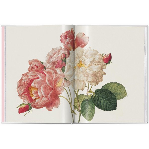 Redouté. Roses