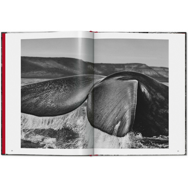 Sebastião Salgado. Genesis