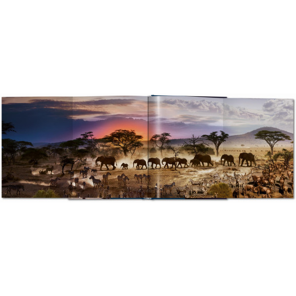 Stephen Wilkes. Day to Night