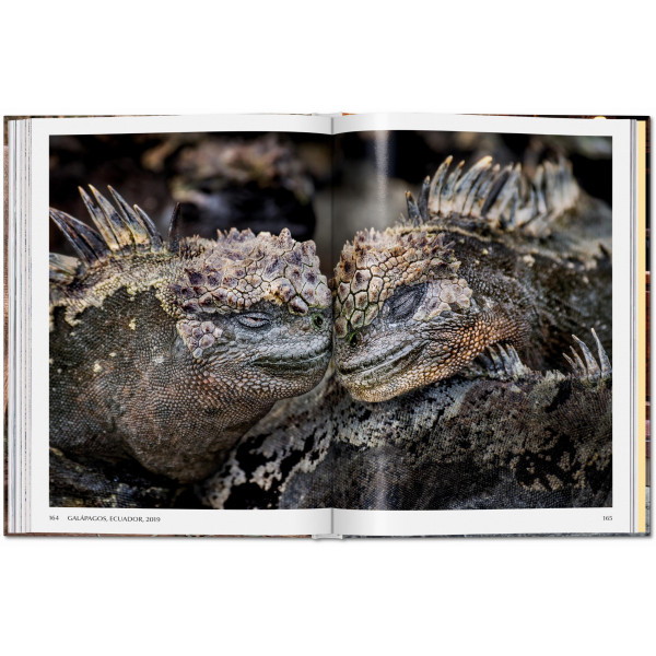 Steve McCurry. Animals