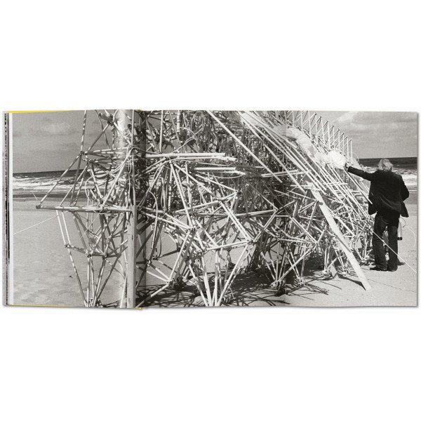 Strandbeest