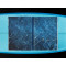 Surfing. 1778–Today