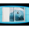 Surfing. 1778–Today