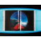 Surfing. 1778–Today