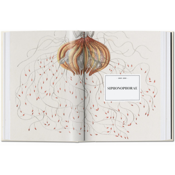 The Art and Science of Ernst Haeckel. 40th Ed. The Art and Science of Ernst Haeckel. 40th Ed.