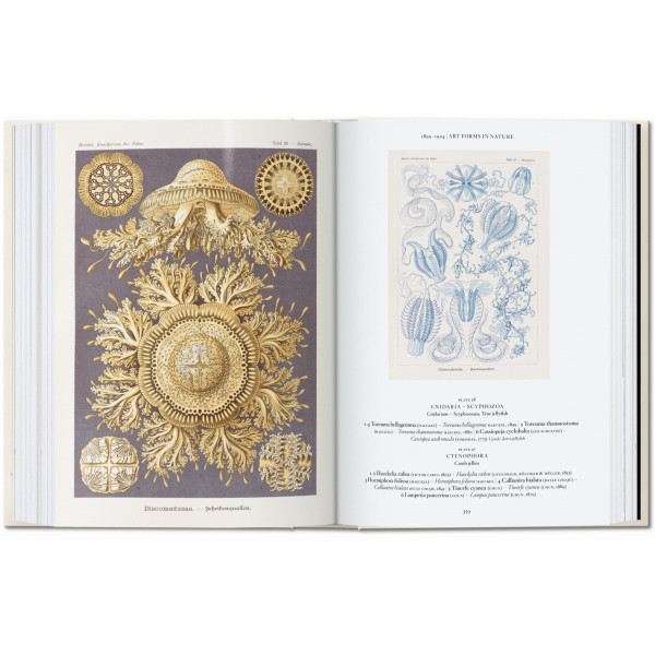 The Art and Science of Ernst Haeckel. 40th Ed. The Art and Science of Ernst Haeckel. 40th Ed.